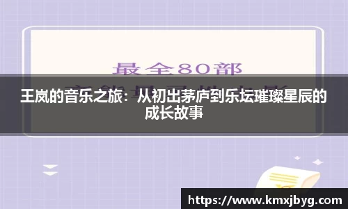 王岚的音乐之旅：从初出茅庐到乐坛璀璨星辰的成长故事